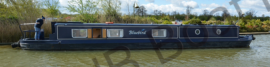 BLUEBIRD boat photo